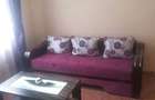 Apartament cu 2 camere semidecomandat în Vasile Aaron - 7