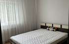 Inchiriere apartament 2 camere, 49 mp - Paltinis, Scoala 23 - 6