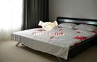 Apartament cu 3 camere decomandat în Parcul Circului - 7