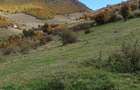 Teren 10.000 mp- Zona Montana Salbatica (Valea Mare Prava?-AG) , Panorama Iezer-Papu?a - 8