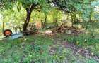 Casă cu 3 camere cu Teren 899 Mp în Ilidia - 12