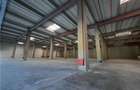 Spatii Industriale - 6500 mp - Logistica - Productie - Depozitare - Distributie - 6