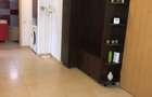 Apartament cu 3 camere decomandat în Popa Șapcă - 9