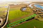 RECO Teren extravilan 2500mp in Palota - 5