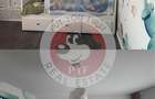 Apartament cu 3 camere în Drumul Taberei - 3