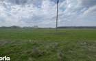 TEREN INTRAVILAN 1000 MP CARCEA - ZONA HANUL CU PONEI - 6