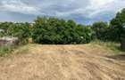 Teren Intravilan Botosani 1270 mp - acces Strada Liliacului nr 4A si Strada Iuliu Maniu - 6