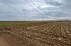 Teren extravilan 2500 mp,cu acces la Centura ,Radauti - 3