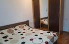 Apartament cu 2 camere semidecomandat în Rahova - 7