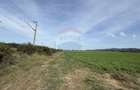 Teren agricol extravilan de 11300 mp, în Bonțida - 2