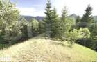 Teren intravilan de top Colibita | 16.945 mp | Panorama munti si l - 5