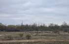 Teren Construcții intravilan de 393 mp, în Theodor Pallady - 5