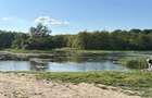 Teren 1000-2000mp intravilan in Gradina Botanica Iasi, 200€/mp, utilitati - 1