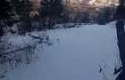 Teren langa padure 8179 mp , cu izvoare de munte - 5