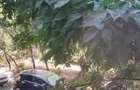 Apartament 3 camere, etaj 1 - zona Colentina, str. Radovanu - 1