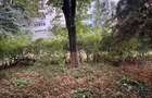 Apartament cu 2 camere semidecomandat în Tătărași - 7