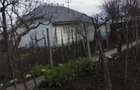 vand casa Sat Nou Berezeni - 4