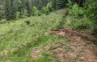Vand Teren in sat Dealu Botii comuna Belis - 2