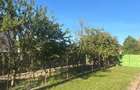 Vand casa comuna Liebling - 3