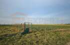 Teren intravilan Eforie Nord Steaua de Mare | Ideal investitie, lo - 4