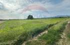 Teren extravilan de 6138 mp, în Coltău - 1