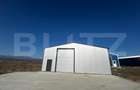 Hala 480 mp si 2000 mp teren, zona Preajba - 2