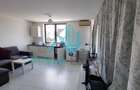 Apartament cu 2 camere semidecomandat în Europa - 3