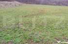 Teren superb 2.500 mp in Nicula lini?te, natura ?i p - 4