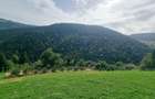 Teren intravilan de 2300 mp, în Măguri-Răcătău - 7