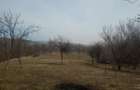 De vanzare casa si teren in Faget, DRAJNA, Prahova - 9