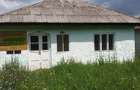 Casa in Ardeoani plus doua hectare de padure - 2