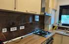 Apartament cu 2 camere semidecomandat în Banu Manta - 10