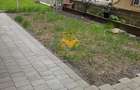 3 camere open space, Manastur, Zona Clabucet, Bucium, Panemar, Parcare - 4