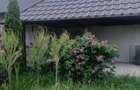 Inchiriere duplex Aerodrom Fratauti - 6
