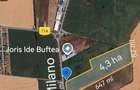 Teren 43.000 mp | Buftea – Strada Milano | Utilitati la limita | Ideal investiti - 1