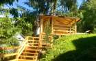 Pensiune de lux la padure, 9 camere in Vatra Dornei, teren si gradina - 8