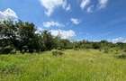 Spațiu comercial, în Cotmeana