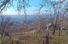 Teren Construcții intravilan de 1500 mp, în Bucium - 3