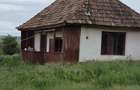 Vand casa Saulia (Groapa Radai), 5000m patrati - 3