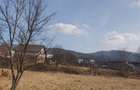 Teren Viseu de Sus Simion Barnutiu(zona Peny) - 5
