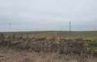 Teren agricol de vanzare, 60000 mp , Limanu- Constanta - 2