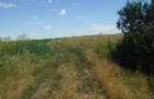 Teren extravilan de 5500 mp, în Manasia - 3