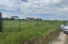 Teren intravilan 360 mp comuna berceni - 2
