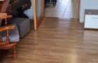 Inchiriez apartament la casa