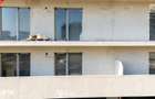 #TVA inclus: Apartament 2 camere la mare Signature Promenada 2