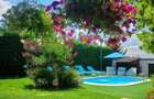 Casa familiara P+M, 795 mp teren, piscina-Oncea , panouri solare. - 14