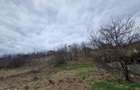 Teren cu toate utilitatile 584 mp, Dezmir zona str Criseni - 3