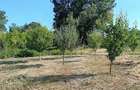 Casă cu 2 camere în Drăgoiești - 3