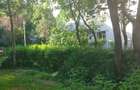 Vanzare apartament 3 camere zona Turda - Parc Regina Maria - 3