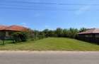 Teren de vanzare intravilan 2500 mp Merii Petchii, comuna Nuci, Ilfov - 3